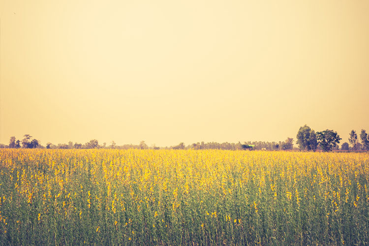 How FiveADRIFT's line of Turkish towels are made from HempCORE