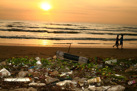 State Banning Single-Use Plastic